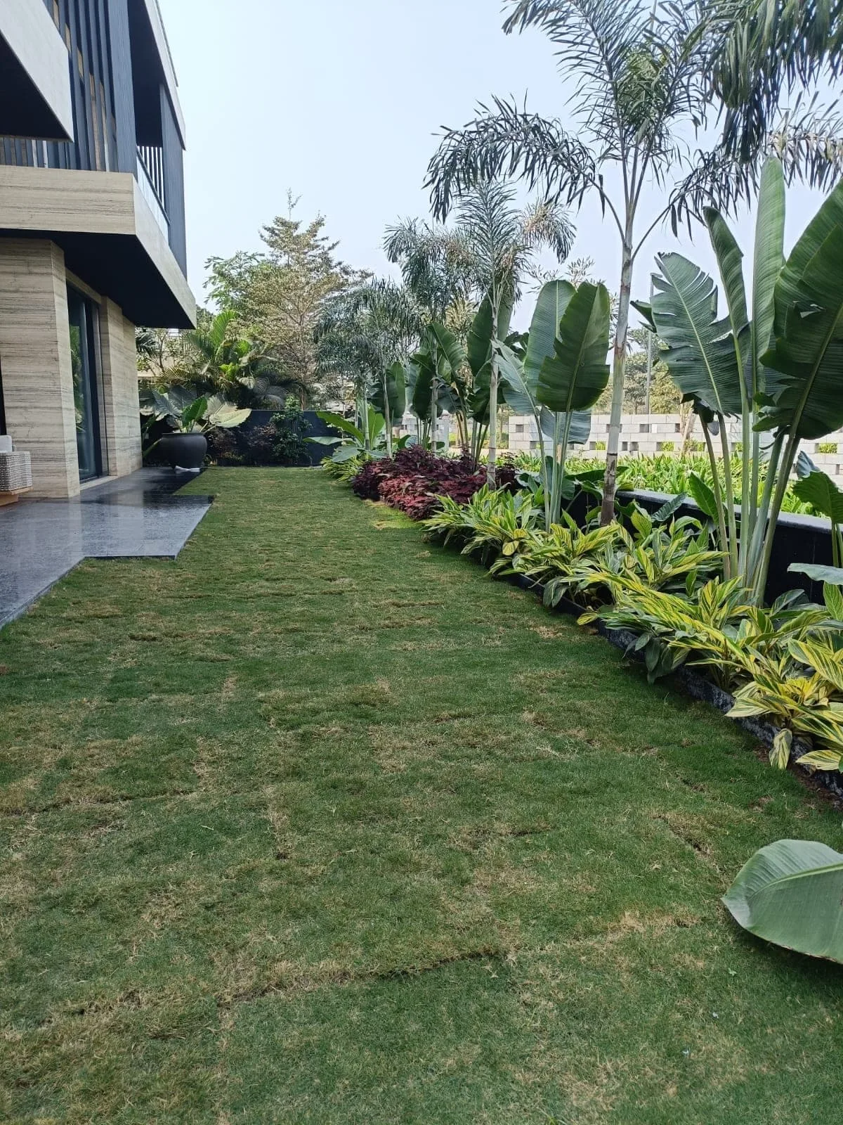 Raised Beds